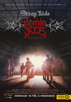 Stray Kids: The dominATE Experience
