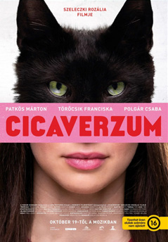 Cicaverzum