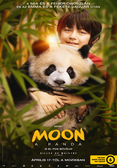 Moon a panda